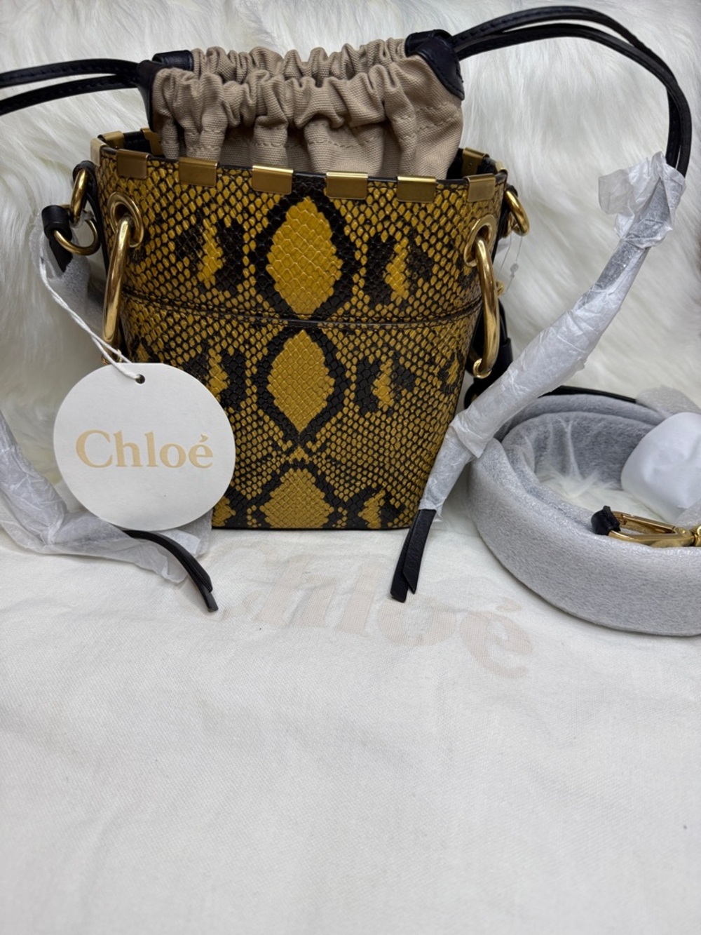 Chloé Mini Roy Python Bucket Bag